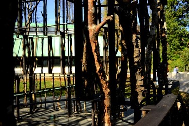 VENEZIA installazione lignea Giardini della Biennale di Arch. Cont. Fotografie di Giulio Azzarello &copy;2022.