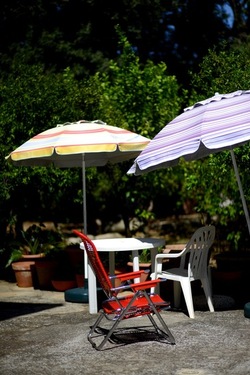 STILL LIFE ASSURDI fotografie di Giulio Azzarello &copy;2020.