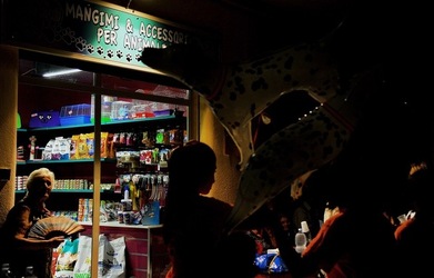 NEGOZIO di ANIMALI. Fotografie di Giulio Azzarello ©2018. NEGOZIO di ANIMALI. Fotografie di Giulio Azzarello ©2018.