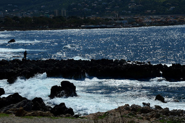 CAPO GALLO riserva marina e naturalistica a Palermo panoramiche e particolari. Fotografie di Giulio Azzarello ©2014. CAPO GALLO riserva marina e naturalistica a Palermo panoramiche e particolari. Fotografie di Giulio Azzarello ©2014.