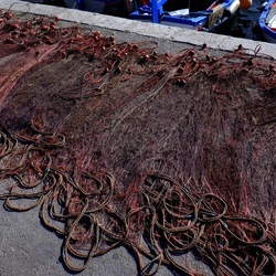 MONDELLO. Fotografie di Giulio Azzarello &copy;2022.