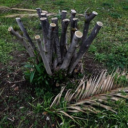 TRONCHI. Fotografie di Giulio Azzarello ©2022.