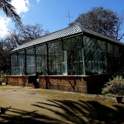 ORTO BOTANICO DI PALERMO. Fotografie di Giulio Azzarello ©2022. ORTO BOTANICO DI PALERMO. Fotografie di Giulio Azzarello ©2022.