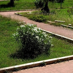SAN VITO LO CAPO. Fotografie di Giulio Azzarello &copy;2023.