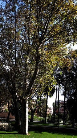 ROMA fotografie di Giulio Azzarello &copy;2022.