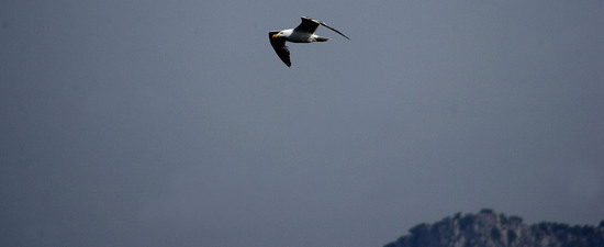 FOTOGRAFIE SPECIALI bianco e nero colore astratto concettuale grafico. Fotografie di Giulio Azzarello &copy;2014.