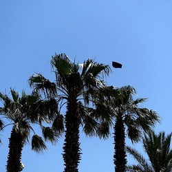 SAN VITO LO CAPO. Fotografie di Giulio Azzarello &copy;2023.