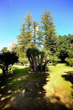 VILLA NISCEMI a Palermo. Fotografie di Giulio Azzarello &copy;2016.