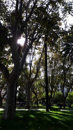 ROMA fotografie di Giulio Azzarello &copy;2022.