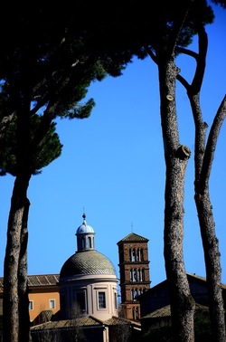 PARCO ARCHEOLOGICO DEL PALATINO Roma. Fotografie di Giulio Azzarello ©2020.