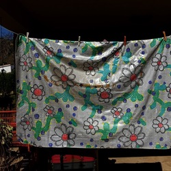 GIARDINO SICILIANO. Fotografie di Giulio Azzarello ©2022. GIARDINO SICILIANO. Fotografie di Giulio Azzarello ©2022.