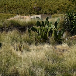 OSSERVAZIONI. Fotografie di Giulio Azzarello ©2022. OSSERVAZIONI. Fotografie di Giulio Azzarello ©2022.