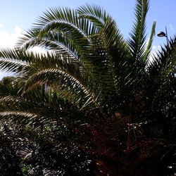 MONDELLO fotografie di Giulio Azzarello ©2021. MONDELLO fotografie di Giulio Azzarello ©2021.