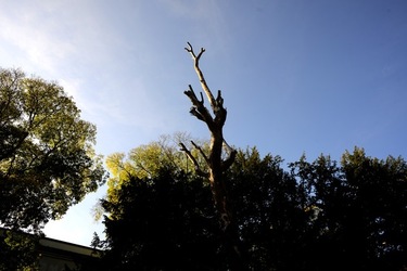 VENEZIA Giardini della Biennale di Arch. Cont.. Fotografie di Giulio Azzarello ©2022.