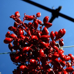 SPECCHIATI. Fotografia di Giulio Azzarello ©2023. SPECCHIATI. Fotografia di Giulio Azzarello ©2023.