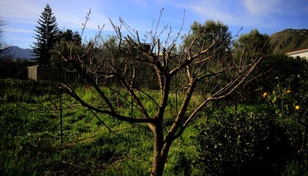 CAMPAGNA fotografie di Giulio Azzarello ©2020.