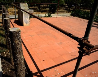 GIARDINO fotografie di Giulio Azzarello ©2019. GIARDINO fotografie di Giulio Azzarello ©2019.