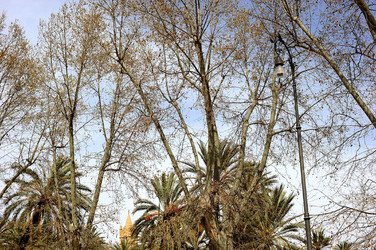 VILLA BONANNO a Palermo. Fotografie di Giulio Azzarello &copy;2016.