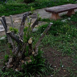 TRONCHI. Fotografie di Giulio Azzarello ©2022.