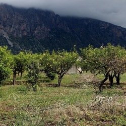 CAMMINANDO. Fotografie di Giulio Azzarello &copy;2024.