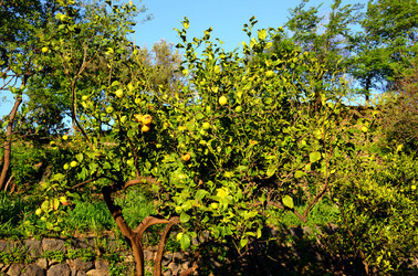 GOLE DELL ALCANTARA in Sicilia. Fotografie di Giulio Azzarello &copy;2016.