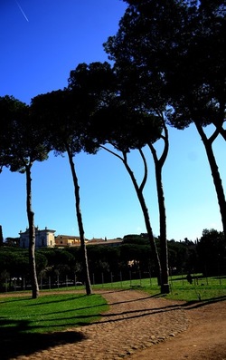 PARCO ARCHEOLOGICO DEL PALATINO Roma. Fotografie di Giulio Azzarello ©2020.