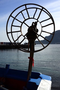 FEBBRAIO Fotografie di Giulio Azzarello &copy;2022.