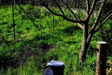 CAMPAGNA fotografie di Giulio Azzarello ©2020.