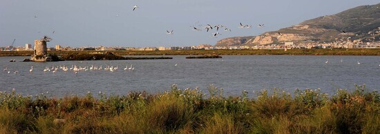 LE SALINE di Trapani in Sicilia. Fotografie di Giulio Azzarello ©2014. LE SALINE di Trapani in Sicilia. Fotografie di Giulio Azzarello ©2014.