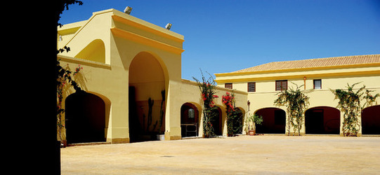 TENUTA vitivinicola in Sicilia. Fotografie di Giulio Azzarello ©2016. TENUTA vitivinicola in Sicilia. Fotografie di Giulio Azzarello ©2016.