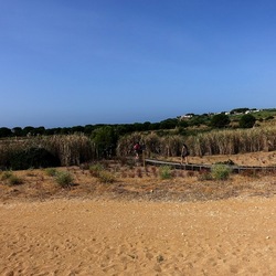 SELINUNTE. Fotografie di Giulio Azzarello ©2022. SELINUNTE. Fotografie di Giulio Azzarello ©2022.