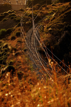 LUIGI PIRANDELLO il parco e la casa museo. Fotografie di Giulio Azzarello ©2014.