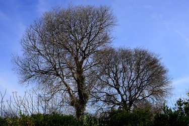 CAMPAGNA fotografie di Giulio Azzarello ©2020.