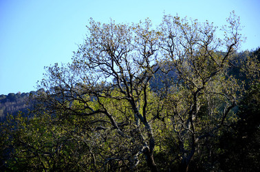 GOLE DELL ALCANTARA in Sicilia. Fotografie di Giulio Azzarello &copy;2016.
