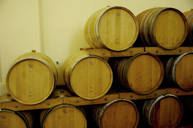 BOTTI per il vino. Fotografie di Giulio Azzarello ©2016. BOTTI per il vino. Fotografie di Giulio Azzarello ©2016.