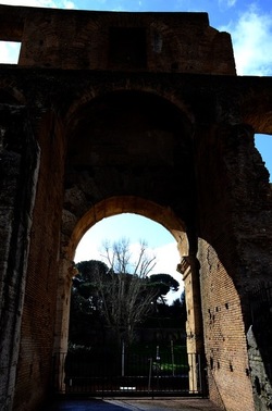 COLOSSEO Roma. Fotografie di Giulio Azzarello ©2020. COLOSSEO Roma. Fotografie di Giulio Azzarello ©2020.