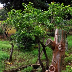 AUTUNNO fotografie di Giulio Azzarello ©2021. AUTUNNO fotografie di Giulio Azzarello ©2021.