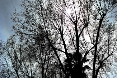 VILLA BONANNO a Palermo. Fotografie di Giulio Azzarello &copy;2016.