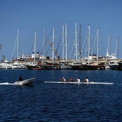 PALERMO. Fotografie di Giulio Azzarello ©2024. PALERMO. Fotografie di Giulio Azzarello ©2024.