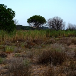 SELINUNTE. Fotografie di Giulio Azzarello ©2022. SELINUNTE. Fotografie di Giulio Azzarello ©2022.