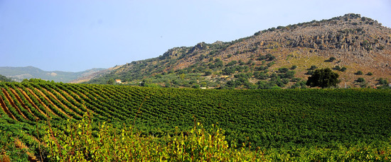 CAMPAGNA SICILIANA. Fotografie di Giulio Azzarello &copy;2016.