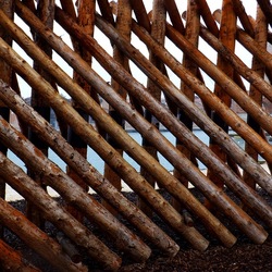 VENEZIA Biennale di Architettura Contemporanea Arsenale. Fotografie di Giulio Azzarello &copy;2022.