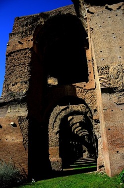 PARCO ARCHEOLOGICO DEL PALATINO Roma. Fotografie di Giulio Azzarello ©2020.