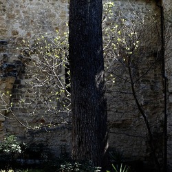 Arabo Normanno. Fotografie di Giulio Azzarello ©2024. Arabo Normanno. Fotografie di Giulio Azzarello ©2024.