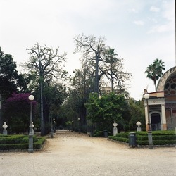6x6. Fotografie di Giulio Azzarello &copy;2021.
