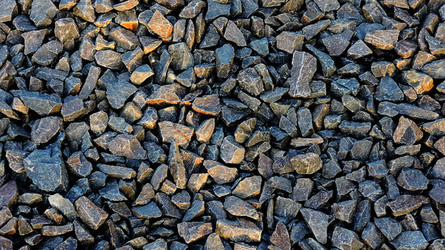 AUSCHHWITZ BIRKENAU la commemorazione. Fotografie di Giulio Azzarello &copy;2016.