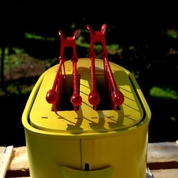 TOAST. Fotografie di Giulio Azzarello &copy;2025.