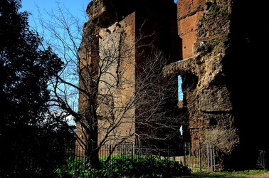 PARCO ARCHEOLOGICO DEL PALATINO Roma. Fotografie di Giulio Azzarello ©2020.