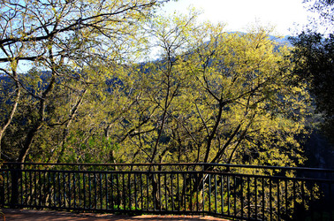 GOLE DELL ALCANTARA in Sicilia. Fotografie di Giulio Azzarello &copy;2016.
