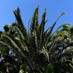 SELINUNTE. Fotografie di Giulio Azzarello ©2022. SELINUNTE. Fotografie di Giulio Azzarello ©2022.